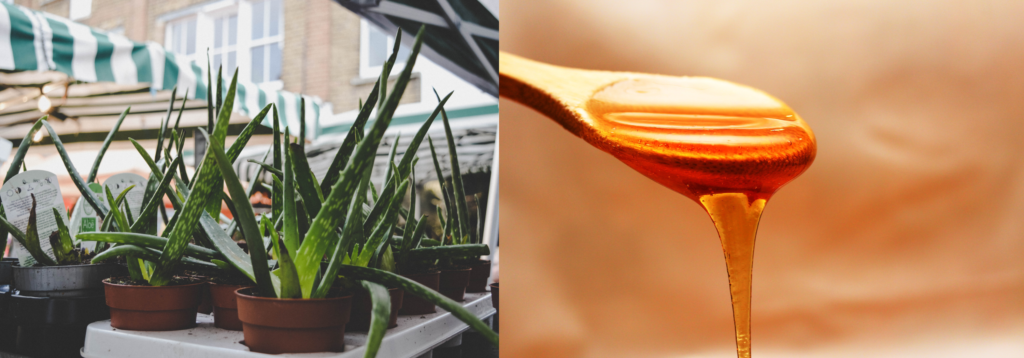 Aloevera Honey | 5 Natural Homemade Remedies To Get Glowing Skin | Beauty Tips By Nim | Nimisha Goyal | HashBUGS