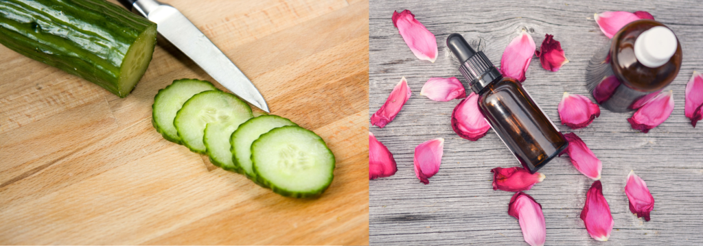 Cucumber Rosewater | Beauty Tips By Nim | Nimisha Goyal | HashBUGS