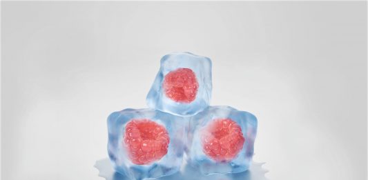 DIY ICECUBES FOR CLEAR SKIN | Beauty Tips By Nim | Nimisha Goyal | HashBUGS