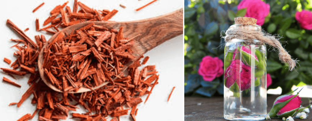 Sandalwood and Rosewater - Beauty Tips By Nim - Nimisha Goyal - HashBUGS - BTN - Nimify Beauty - beautytipsbynim.com