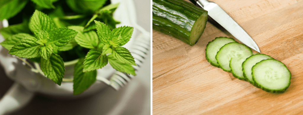 Mint and Cucumber : Get Glowing Skin - Beauty Tips By Nim - Nimisha Goyal - HashBUGS - BTN - beautytipsbynim.com