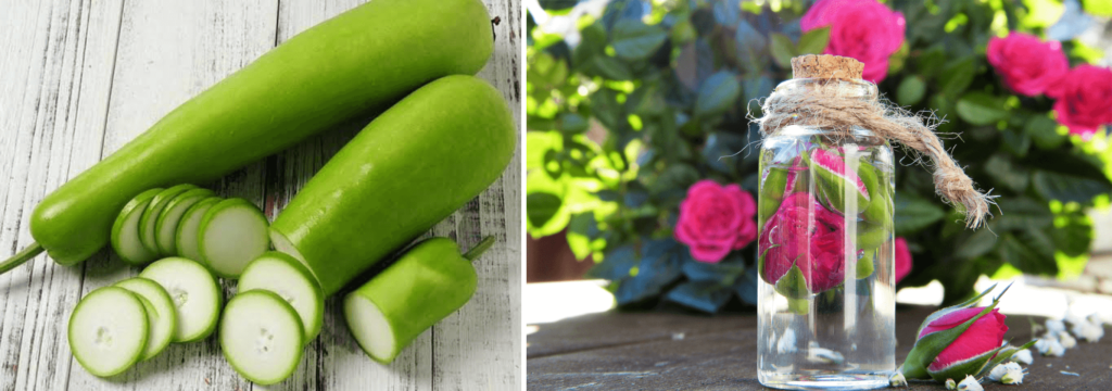 Bottle Gourd Ice Cubes For Face and Skin - Beauty Tips By Nim - Nimisha Goyal - HashBUGS - BTN - beautytipsbynim.com