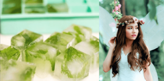 Bottle Gourd Ice Cubes For Face and Skin - Beauty Tips By Nim - Nimisha Goyal - HashBUGS - BTN - beautytipsbynim.com