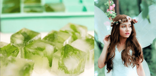 Bottle Gourd Ice Cubes For Face and Skin - Beauty Tips By Nim - Nimisha Goyal - HashBUGS - BTN - beautytipsbynim.com