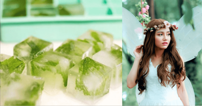 Bottle Gourd Ice Cubes For Face and Skin - Beauty Tips By Nim - Nimisha Goyal - HashBUGS - BTN - beautytipsbynim.com