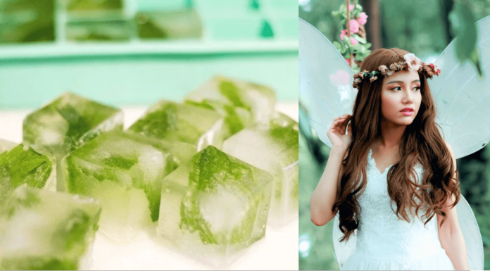 Bottle Gourd Ice Cubes For Face and Skin - Beauty Tips By Nim - Nimisha Goyal - HashBUGS - BTN - beautytipsbynim.com