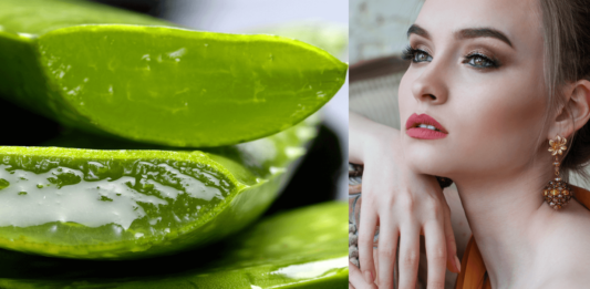 Top 5 DIY Aloe Vera Face Packs For Clear Skin Top 5 DIY Aloe Vera Face Masks For Glowing Skin At Home - Beauty Tips By Nim - Nimisha Goyal - HashBUGS - BTN - beautytipsbynim.com