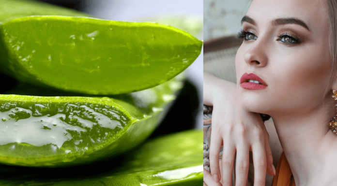 Top 5 DIY Aloe Vera Face Masks For Glowing Skin At Home - Beauty Tips By Nim - Nimisha Goyal - HashBUGS - BTN - beautytipsbynim.com