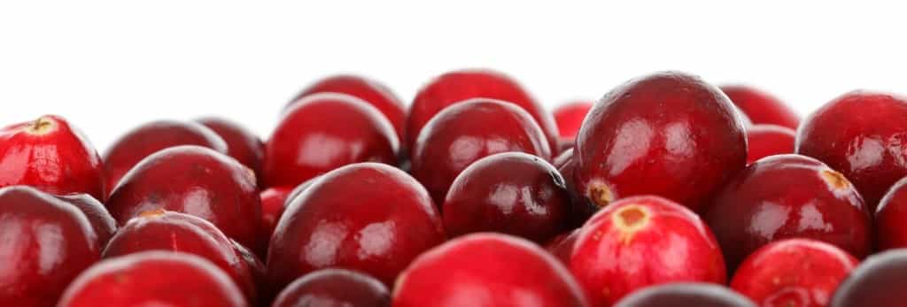 How to make Cranberry Ice Cubes for skin - Beauty Tips By Nim - Nimisha Goyal - HashBUGS - BTN - beautytipsbynim.com