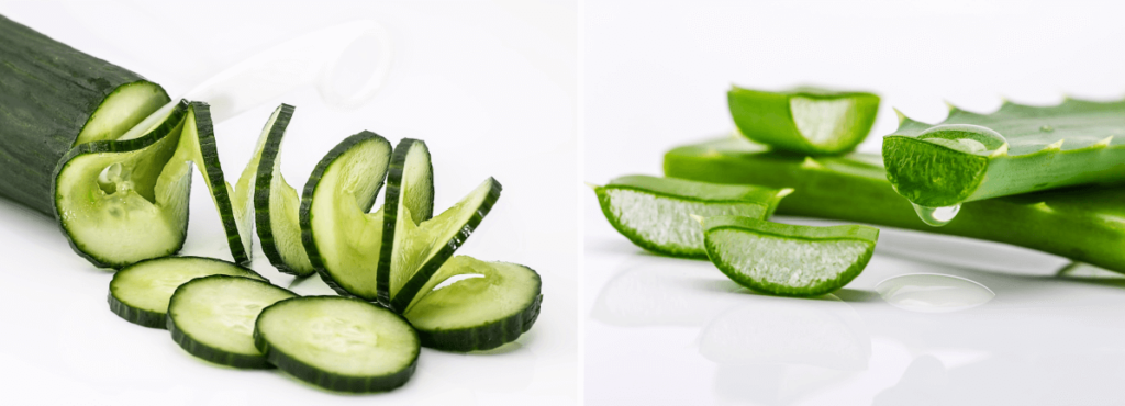 Aloe Vera and Cucumber - Beauty Tips By Nim - Nimisha Goyal - HashBUGS - BTN - beautytipsbynim.com