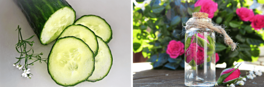 Cucumber and Rosewater - Beauty Tips By Nim - Nimisha Goyal - HashBUGS - BTN - beautytipsbynim.com