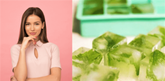 Cucumber Ice Cubes For Face - Beauty Tips By Nim - Nimisha Goyal - HashBUGS - BTN - beautytipsbynim.com