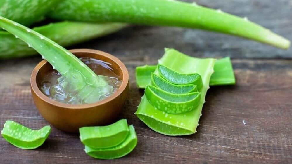 Aloe Vera And Olive Oil Shampoo