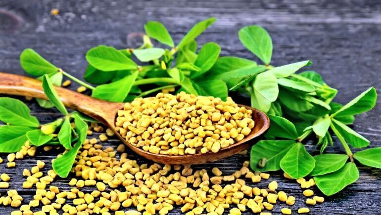 How to Use Fenugreek Seeds for Hair Growth - Home Remedies For Hair Growth - Beauty Tips By Nim - Nimisha Goyal - HashBUGS - BTN - Nimify Beauty - beautytipsbynim.com