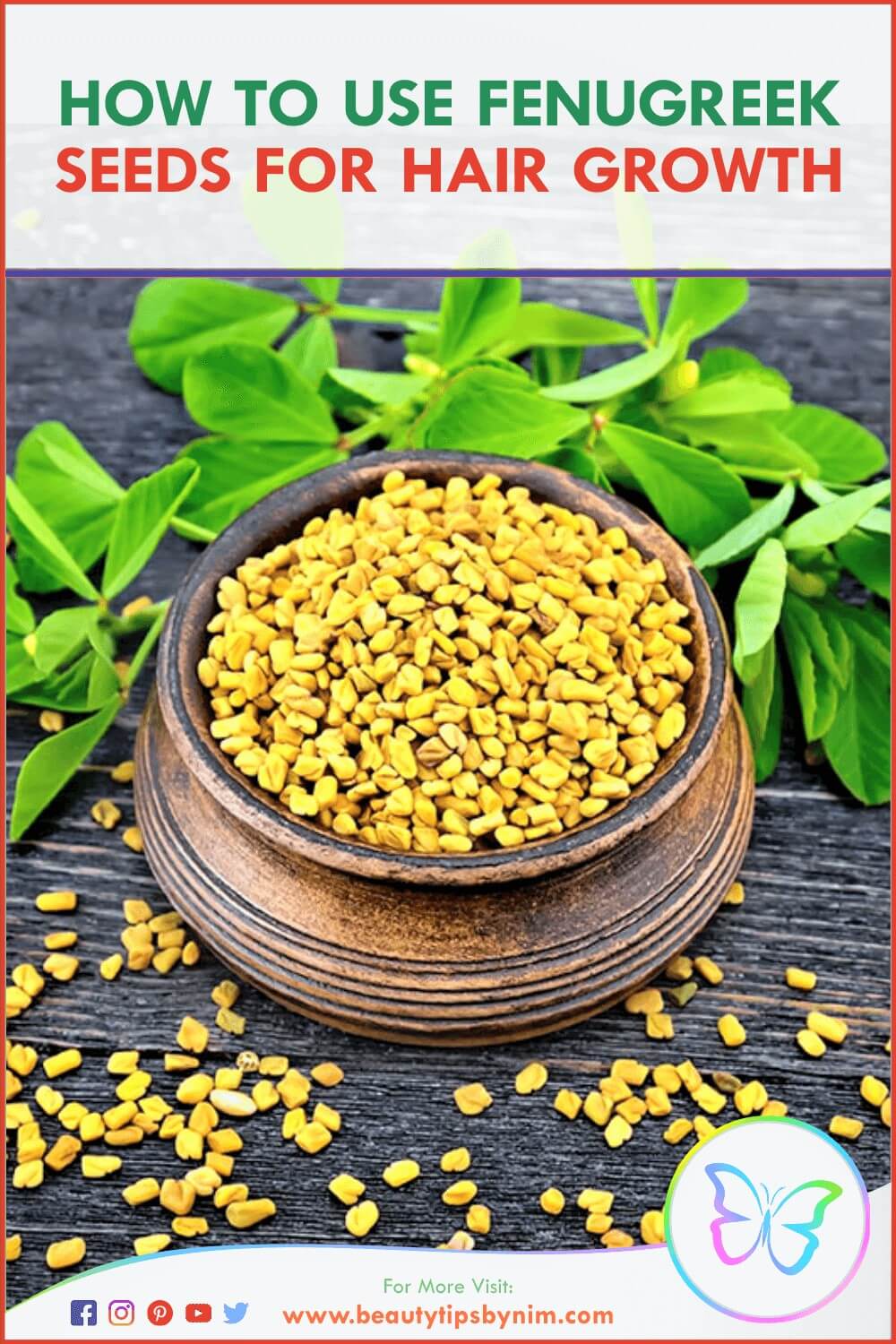 How to Use Fenugreek Seeds for Hair Growth - Beauty Tips By Nim