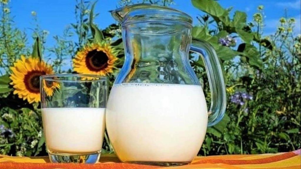 Milk - Beauty Tips By Nim - Nimisha Goyal - HashBUGS - BTN - Nimify Beauty - beautytipsbynim.com (3)