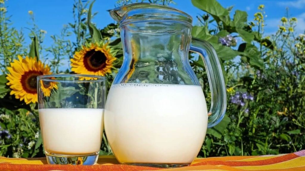 Milk - Beauty Tips By Nim - Nimisha Goyal - HashBUGS - BTN - Nimify Beauty - beautytipsbynim.com