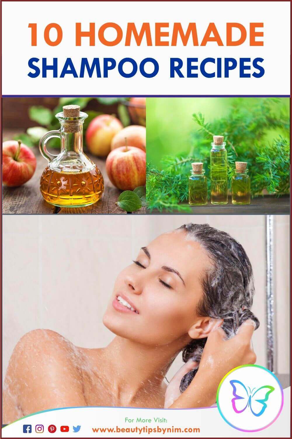 Top 10 Homemade Shampoo Recipes That Actually Works - Beauty Tips By Nim - Nimisha Goyal - HashBUGS - BTN - Nimify Beauty - beautytipsbynim.com