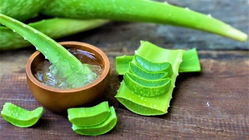 Aloe Vera - Beauty Tips By Nim - Nimisha Goyal - HashBUGS - BTN - Nimify Beauty - beautytipsbynim.com