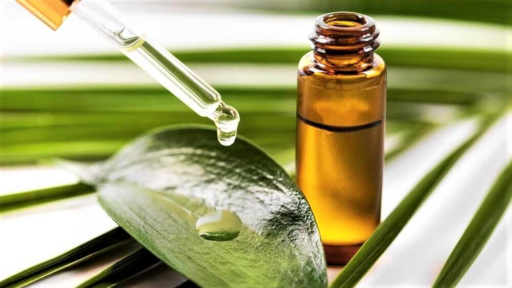 Tea Tree Oil - Beauty Tips By Nim - Nimisha Goyal - HashBUGS - BTN - Nimify Beauty - beautytipsbynim.com