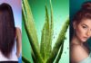 Benefits of Aloe Vera Gel for Skin and Hair - How To Use - Beauty Tips By Nim - Nimisha Goyal - HashBUGS - BTN - Nimify Beauty - beautytipsbynim.com