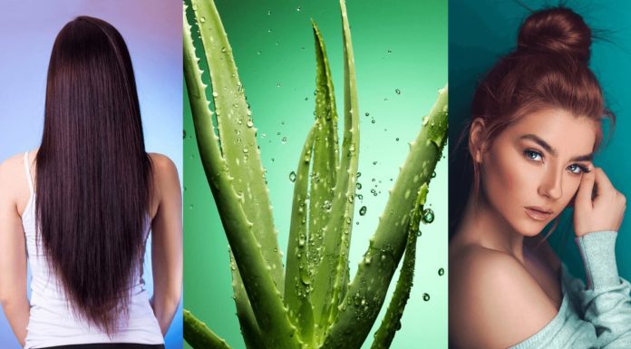 Benefits of Aloe Vera Gel for Skin and Hair - How To Use - Beauty Tips By Nim - Nimisha Goyal - HashBUGS - BTN - Nimify Beauty - beautytipsbynim.com