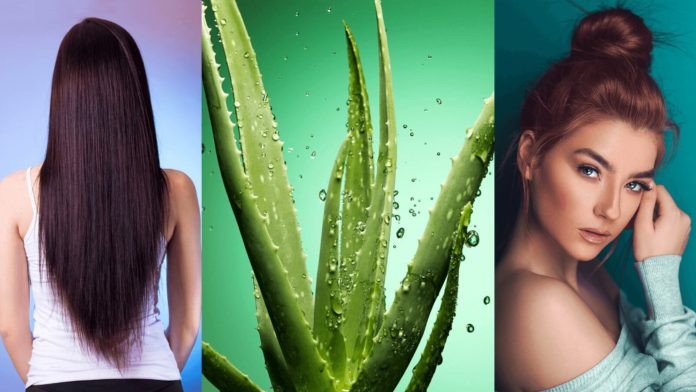 Benefits of Aloe Vera Gel for Skin and Hair - How To Use - Beauty Tips By Nim - Nimisha Goyal - HashBUGS - BTN - Nimify Beauty - beautytipsbynim.com