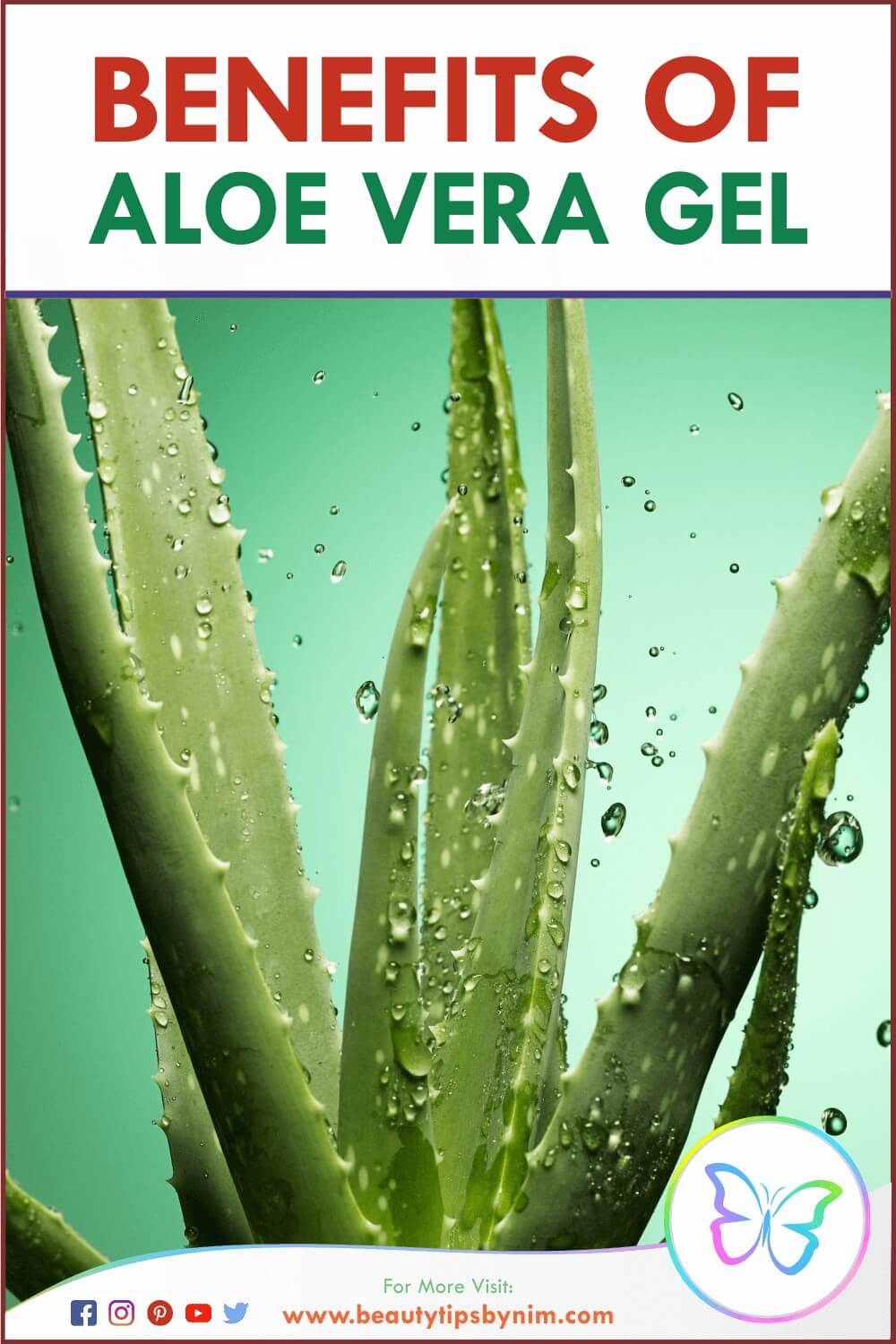 Benefits of Aloe Vera Gel for Skin and Hair - How To Use - Beauty Tips By Nim - Nimisha Goyal - HashBUGS - BTN - Nimify Beauty - beautytipsbynim.com