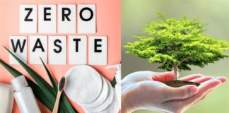 Top 10 Zero-Waste Sustainable Beauty Brands in India  - Beauty Tips By Nim - Nimisha Goyal - HashBUGS - BTN - Nimify Beauty - beautytipsbynim.com 2