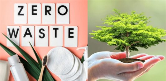Top 10 Zero-Waste Sustainable Beauty Brands in India  - Beauty Tips By Nim - Nimisha Goyal - HashBUGS - BTN - Nimify Beauty - beautytipsbynim.com 2