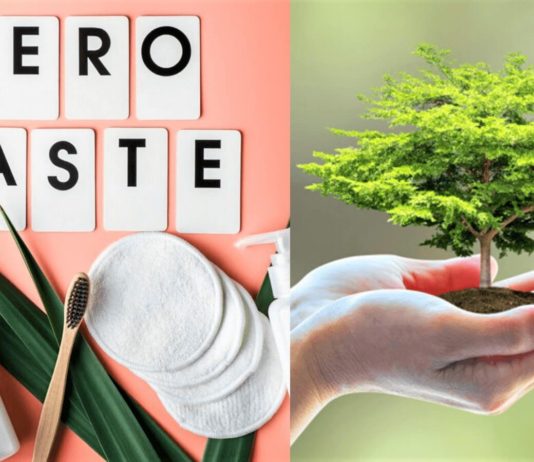 Top 10 Zero-Waste Sustainable Beauty Brands in India Top 10 Zero-Waste Sustainable Beauty Brands in India - Beauty Tips By Nim - Nimisha Goyal - HashBUGS - BTN - Nimify Beauty - beautytipsbynim.com 2
