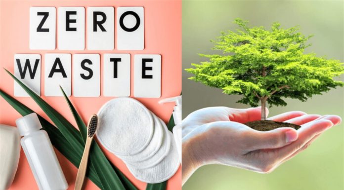 Top 10 Zero-Waste Sustainable Beauty Brands in India  - Beauty Tips By Nim - Nimisha Goyal - HashBUGS - BTN - Nimify Beauty - beautytipsbynim.com 2