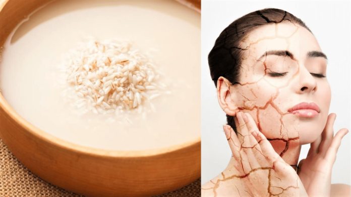 Benefits and Uses of Rice Water For Face and Glowing Skin - Beauty Tips By Nim - Nimisha Goyal - HashBUGS - BTN - Nimify Beauty - beautytipsbynim.com