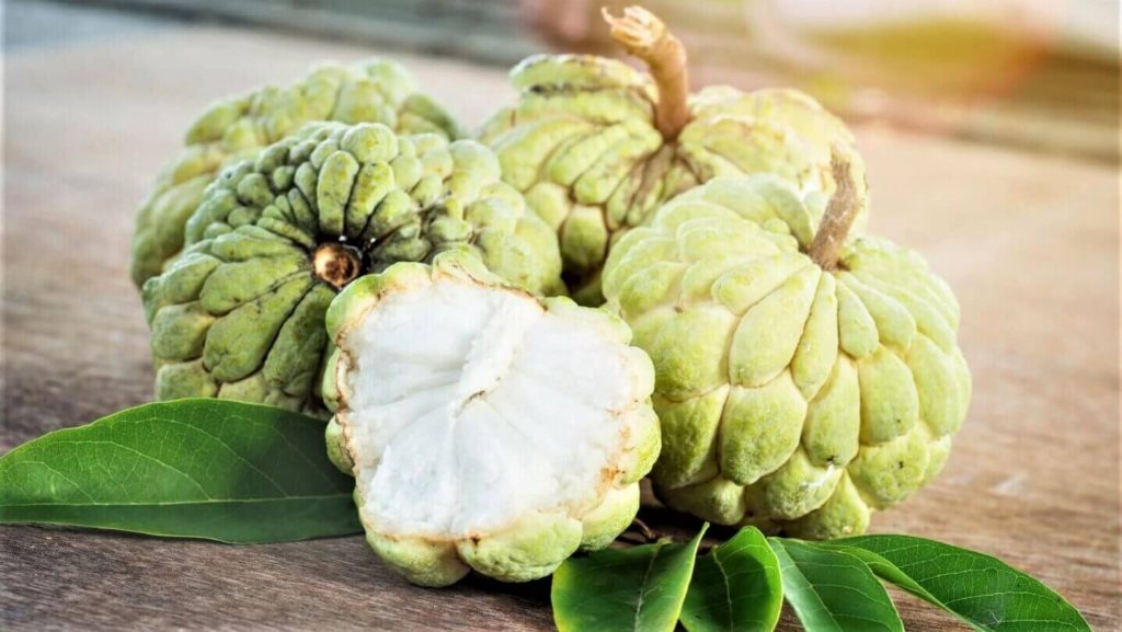 Custard Apple