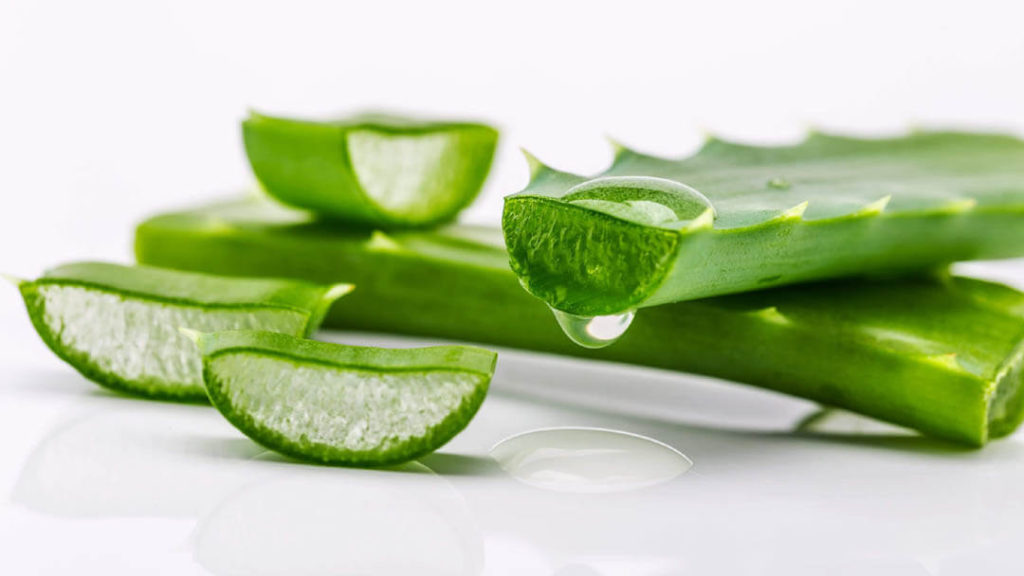 Aloe Vera - Nimify Beauty