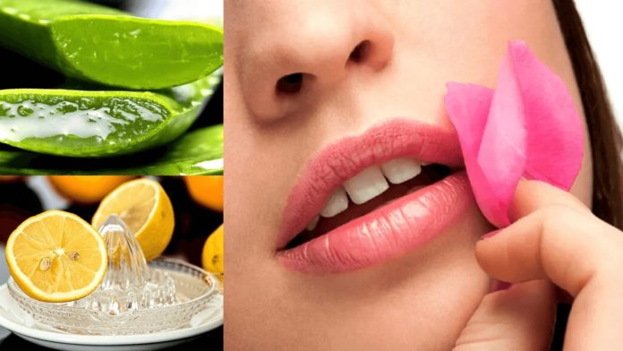 How To Lighten Dark Upper Lip - Easy Lip Care Tips - Beauty Tips By Nim (2)