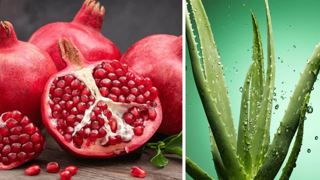 1. Pomegranate Ice Cubes - Aloe Vera Gel - Open Pores