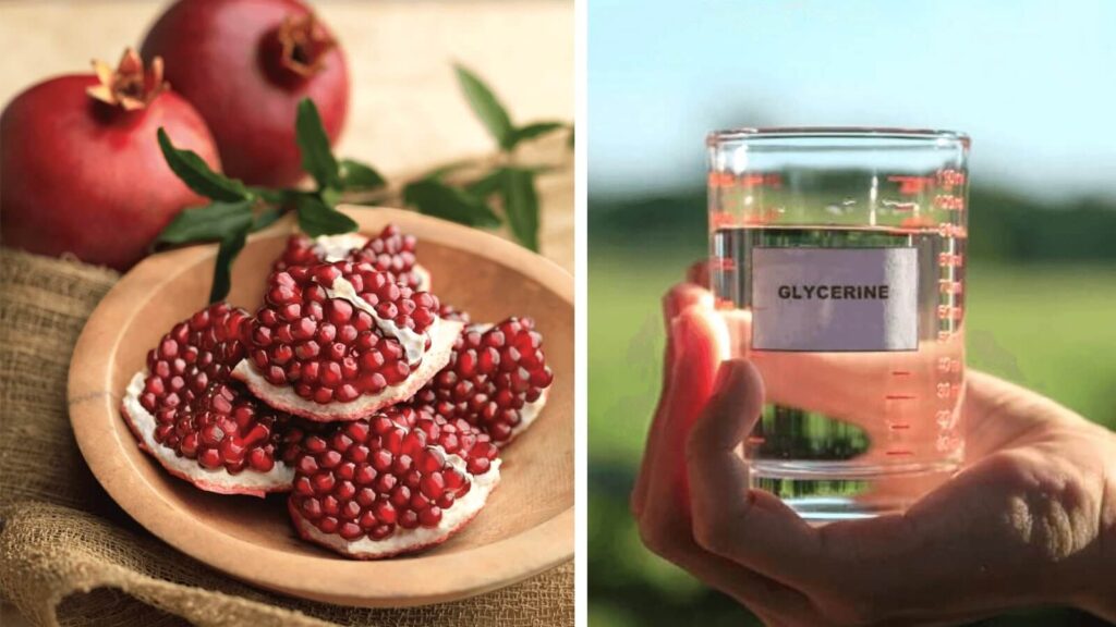 3. Pomegranate Ice Cube For Glowing Skin - Beauty Tips By Nim - Nimisha Goyal - HashBUGS - BTN - Nimify Beauty - beautytipsbynim.com