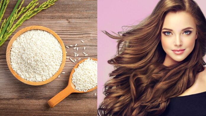 Here's What Rice Water Actually Does to Your Hair - Beauty Tips By Nim - Nimisha Goyal - HashBUGS - BTN - Nimify Beauty - beautytipsbynim.com