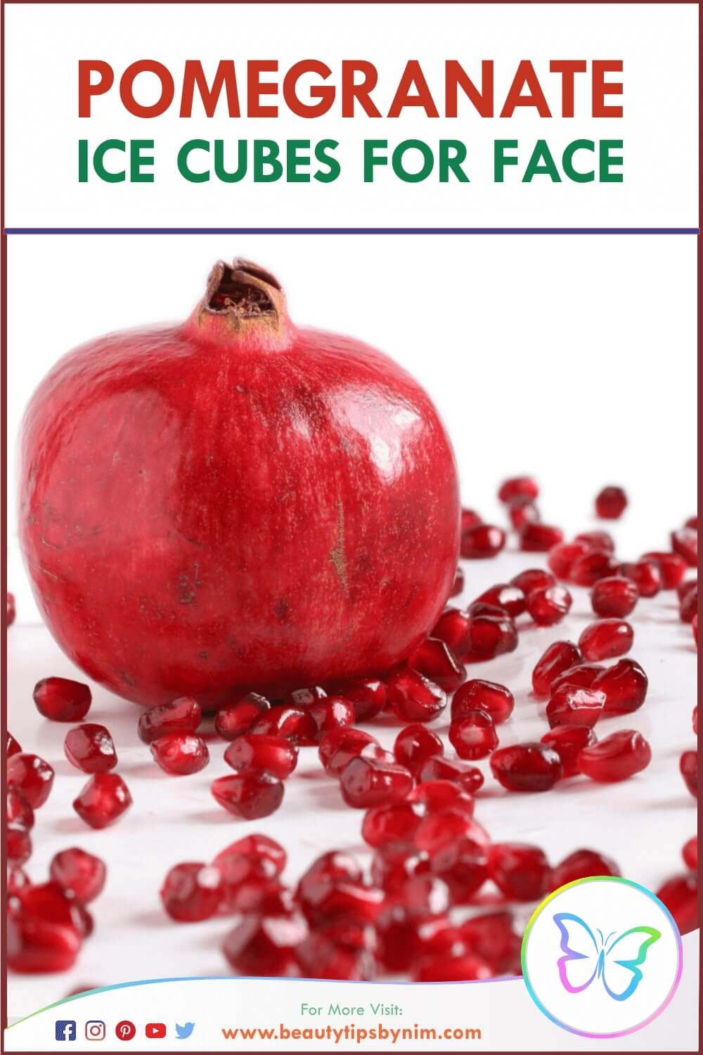 Pomegranate Ice Cubes For Face Top 10 Remedies - Beauty Tips By Nim - Nimisha Goyal - HashBUGS - BTN - Nimify Beauty - beautytipsbynim.com