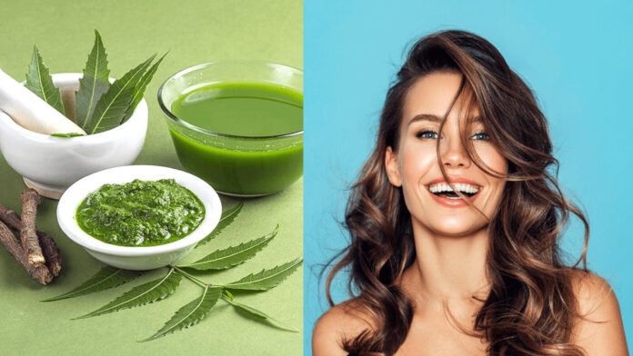 Top Neem Benefits and Uses for Skin and Hair - Beauty Tips By Nim - Nimisha Goyal - HashBUGS - BTN - Nimify Beauty - beautytipsbynim.com