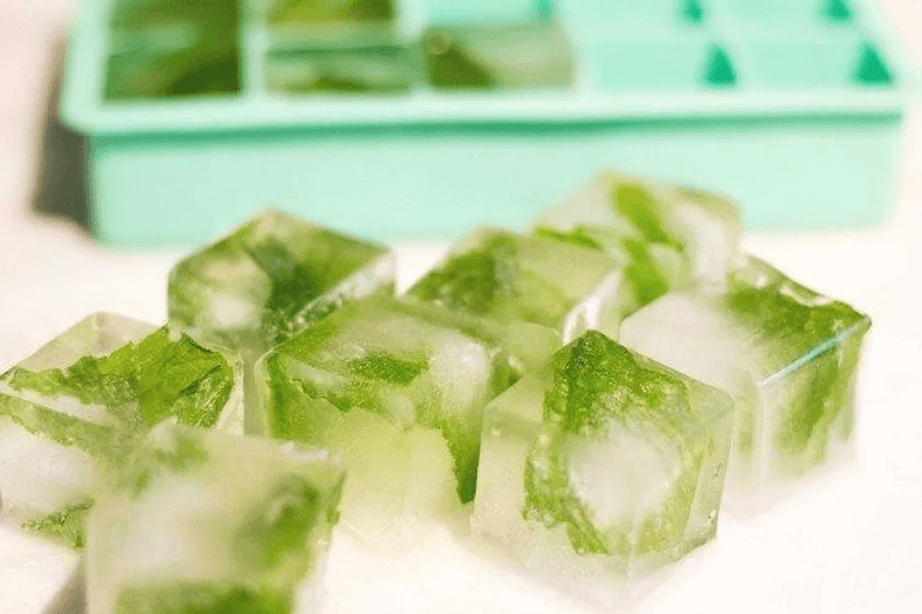 bottle gourd green ice cubes- Beauty Tips By Nim