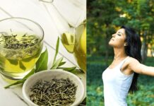Green Tea Benefits, How to Make It and Risks - Beauty Tips By Nim - Nimisha Goyal - HashBUGS - BTN - Nimify Beauty - beautytipsbynim.com (2)