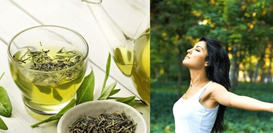 Green Tea Benefits, How to Make It and Risks - Beauty Tips By Nim - Nimisha Goyal - HashBUGS - BTN - Nimify Beauty - beautytipsbynim.com (2)