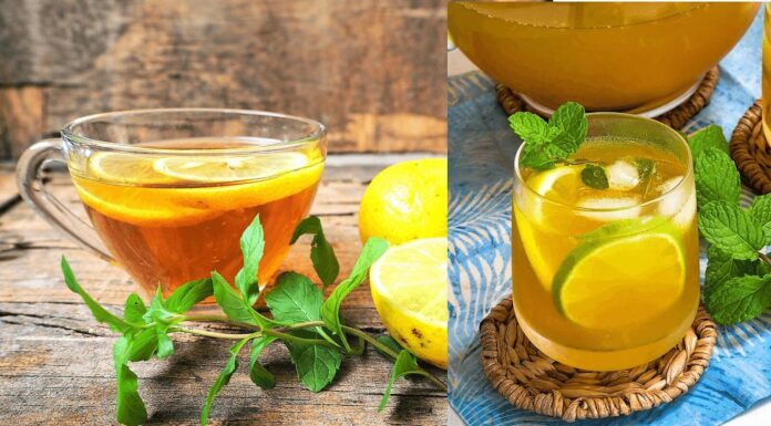 Top 10 Amazing Health Benefits of Lemon Tea - Beauty Tips By Nim - Nimisha Goyal - HashBUGS - BTN - Nimify Beauty - beautytipsbynim.com (2)